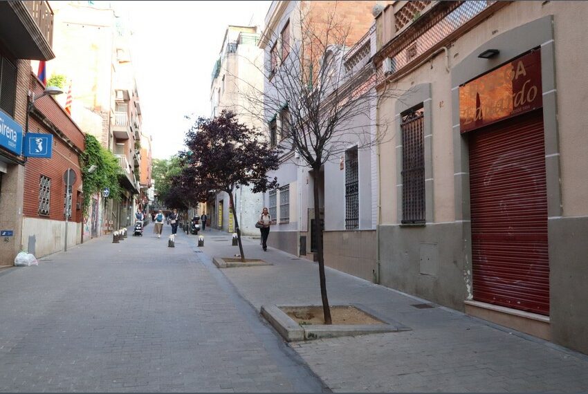 IMG_0898 (Copiar)