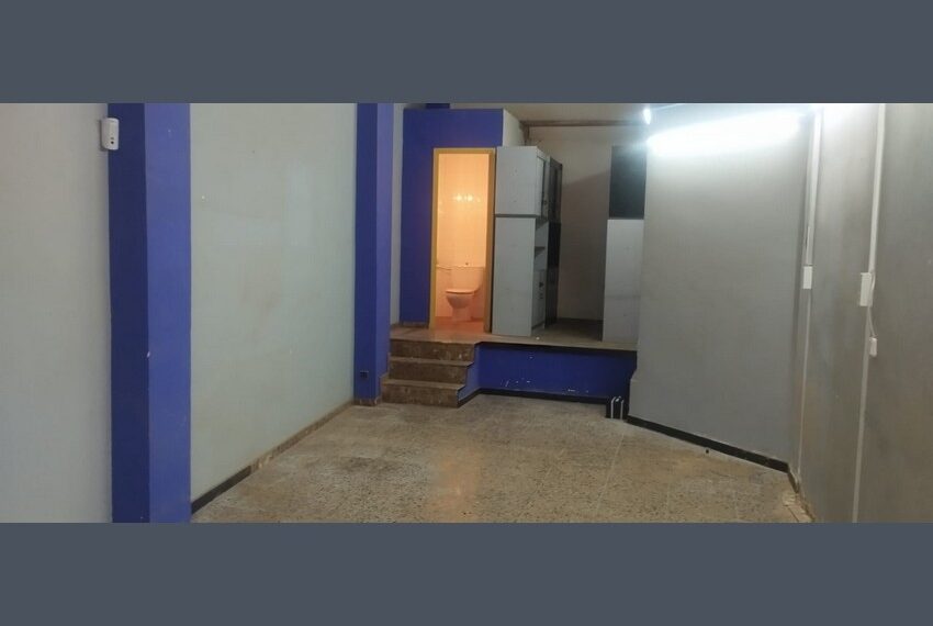 IMG-20251006-WA0016 (Copiar)